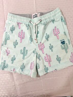 Party Pants Kids Mint Cactus Print Swim Trunks - Pink & Green